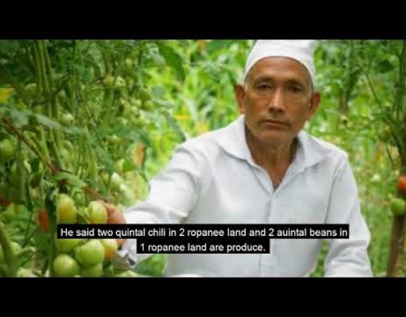 Story of a vegetable farmer of Dhankuta