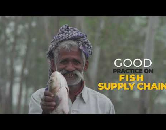 Good Practices on Fish SC Development _ Short Video